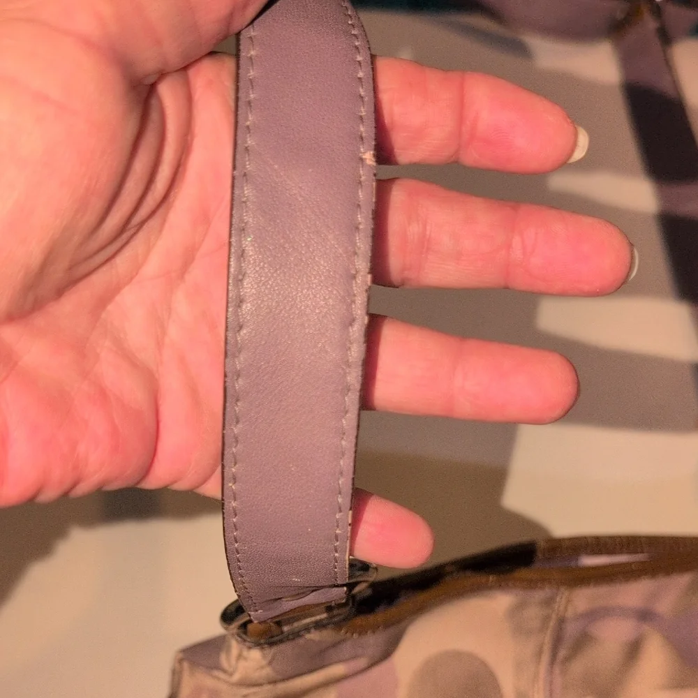 Coach Tan, Brown and Purple Crossbody Bag